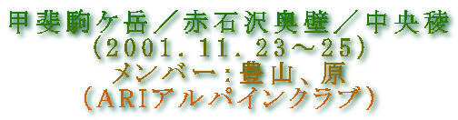 bPx^ԐΑ򉜕ǁ^
(2001D11D23`25j
o[FLRA
iARIApCNuj

