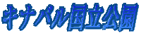 Lio