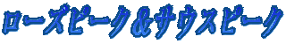 [Ys[NTEXs[N